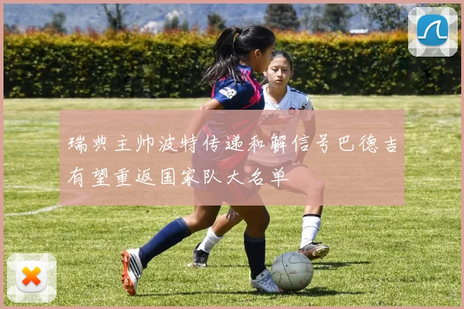 瑞典主帅波特传递和解信号巴德吉有望重返国家队大名单
