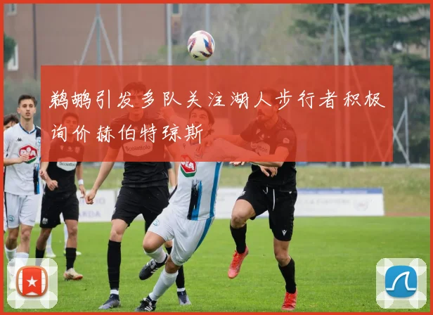 鹈鹕引发多队关注湖人步行者积极询价赫伯特琼斯