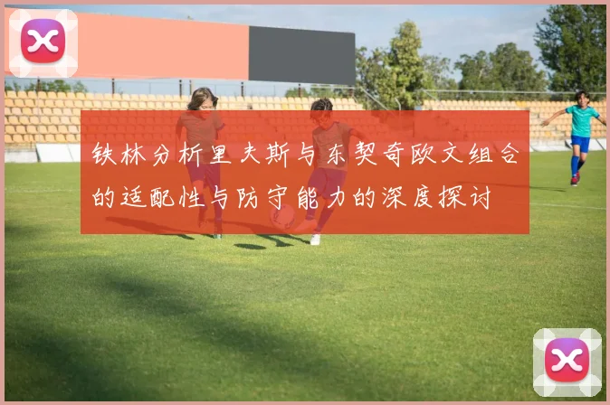 铁林分析里夫斯与东契奇欧文组合的适配性与防守能力的深度探讨
